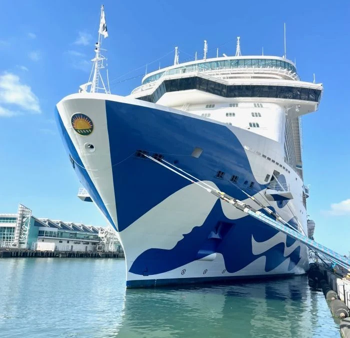 Experience Spellbound Magic On The Sun Princess